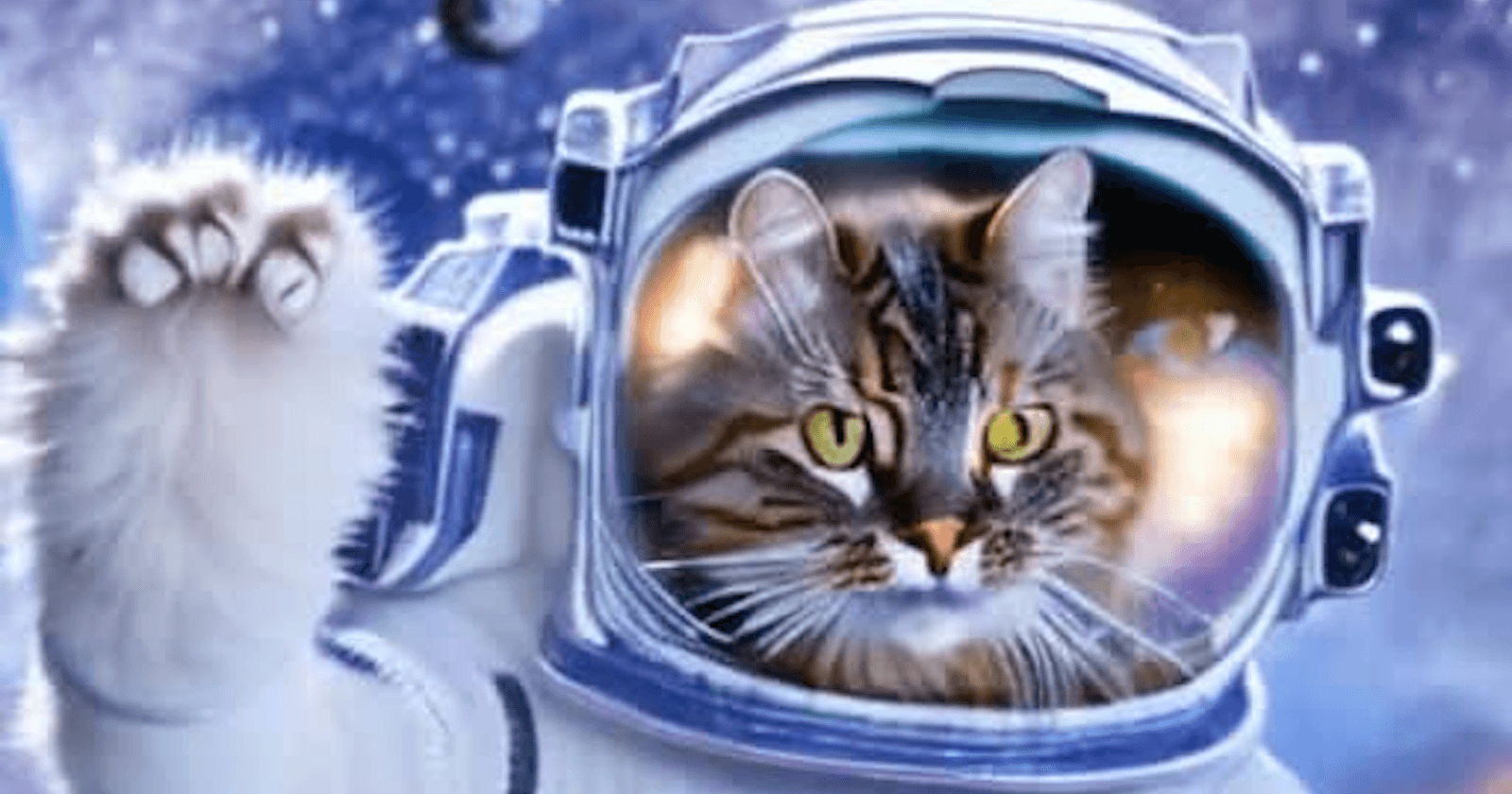 Welcome to Twisty - Video AI for Creators!